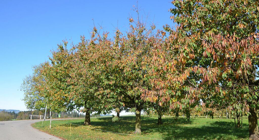 img_impressionen_Umgebung_02