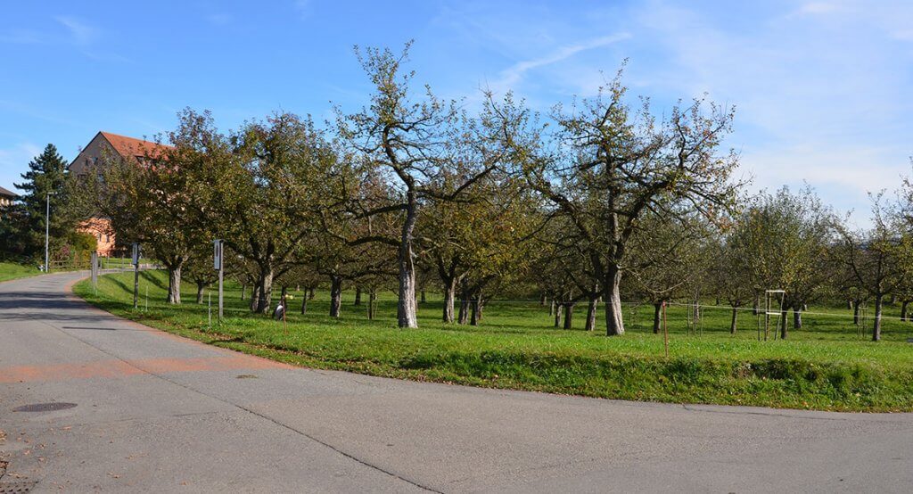 img_impressionen_Umgebung_03